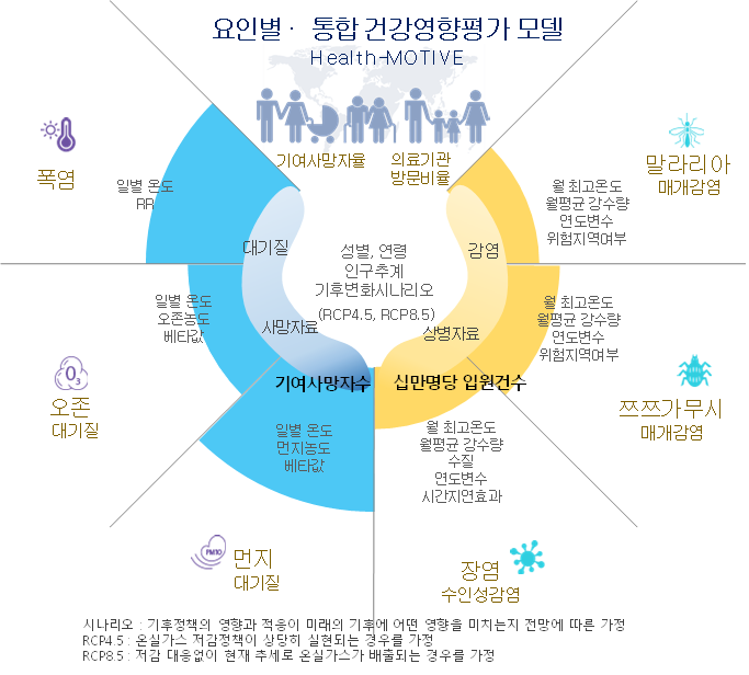Health Motive 시나리오